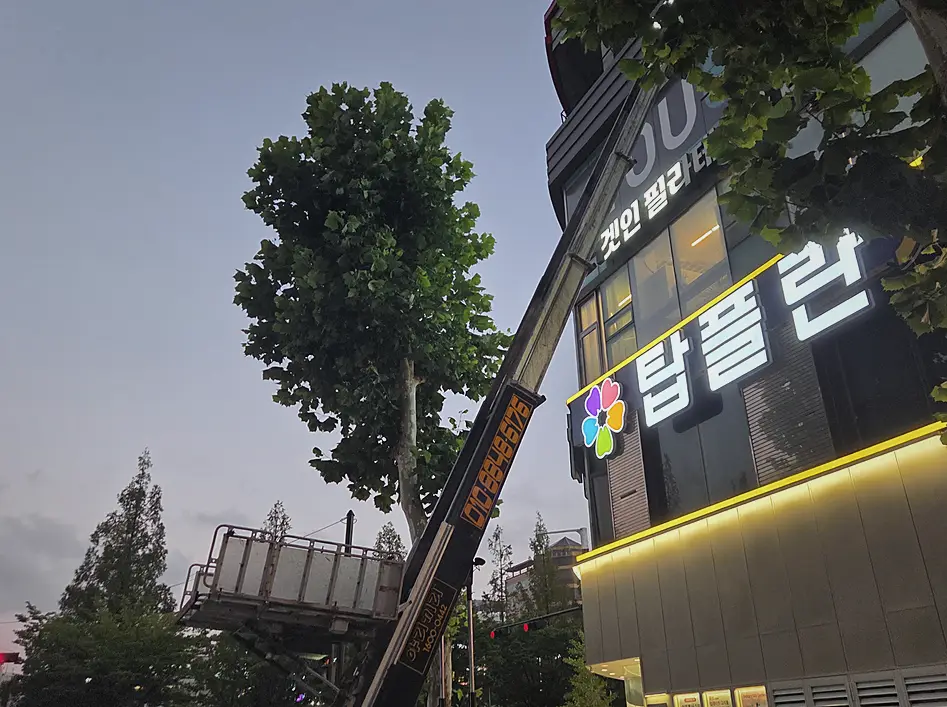 폐기물처리 현장 사진 8